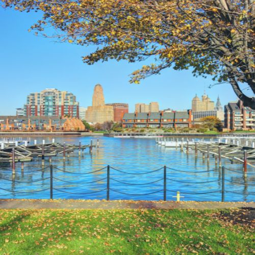 Franchise Opportunities in Buffalo NY | FranchiseCoach