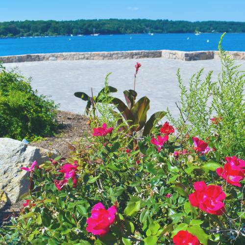 Franchise Opportunities in Oyster Bay | FranchiseCoach