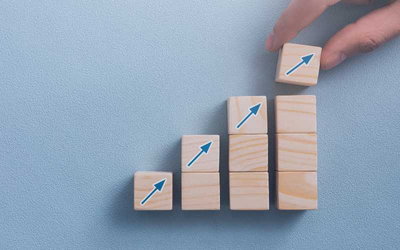 Stock Volatility (Growth Potebtial) | FranchiseCoach