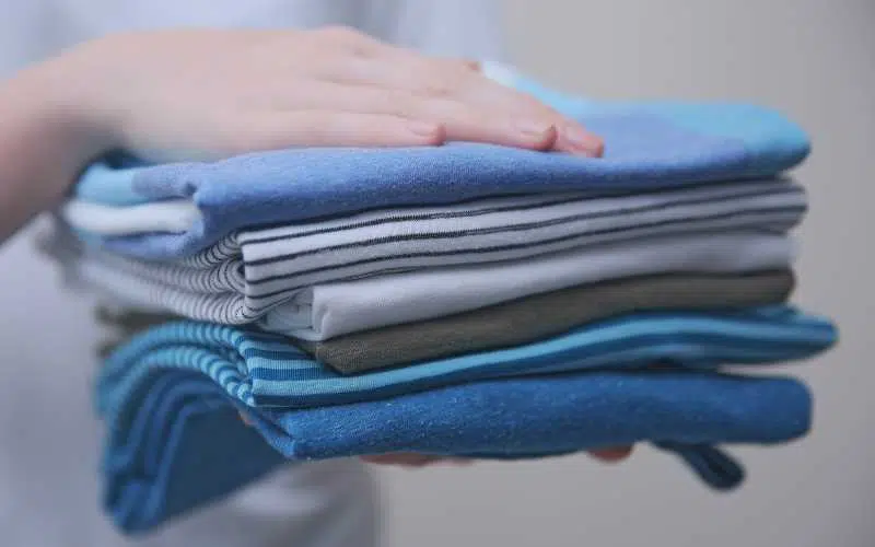 Dry Cleaning Franchise | FranchiseCoach